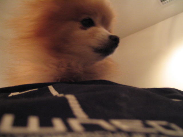 IMG_1247.jpg