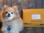 Individual Shipping Packages