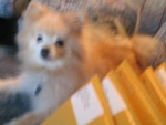 Ruby With All Packages