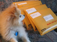 IMG 1176-blurred