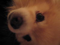 IMG_1240.jpg