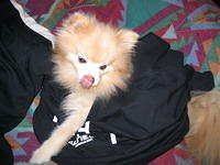 IMG_1182.jpg