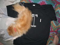 IMG_1214.jpg