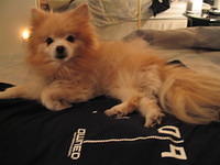 IMG_1225.jpg