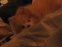 IMG_1226.jpg