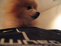 IMG_1247.jpg